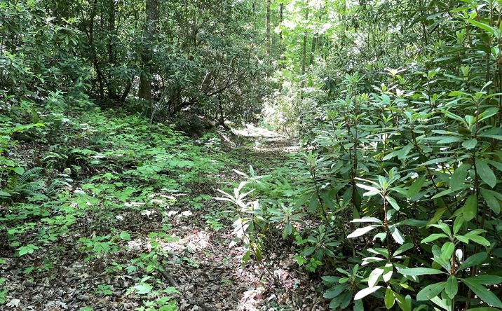 Cold Springs Lane, Hayesville