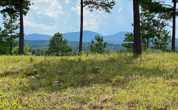 LT281 Thirteen Hundred, Blairsville
