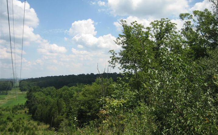 43.96ac Greenbrier Road, Jackson Twp