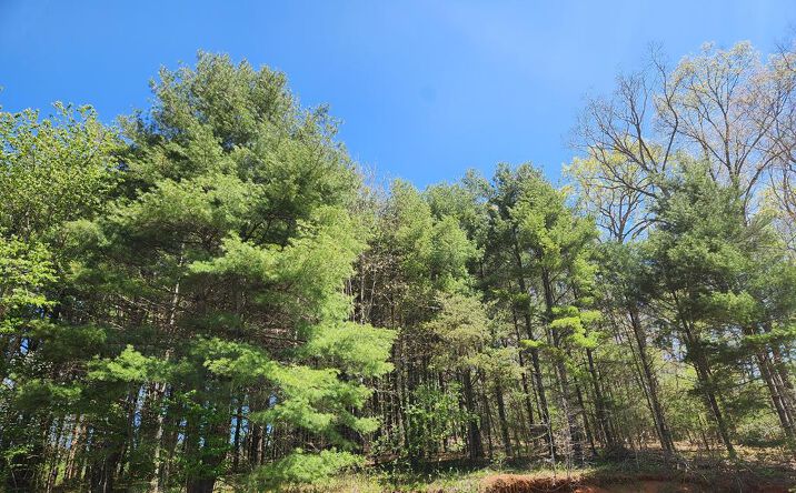 46 Silverleaf Road, Hillsville