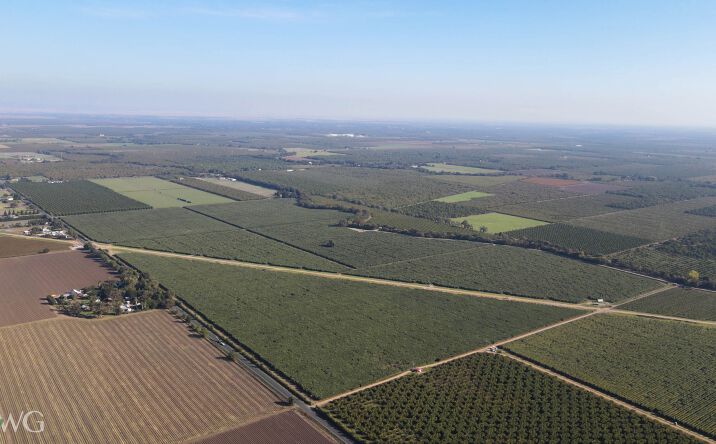 12590 Live Oak Road, Lodi