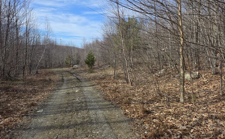Ridge Road, Oakfield