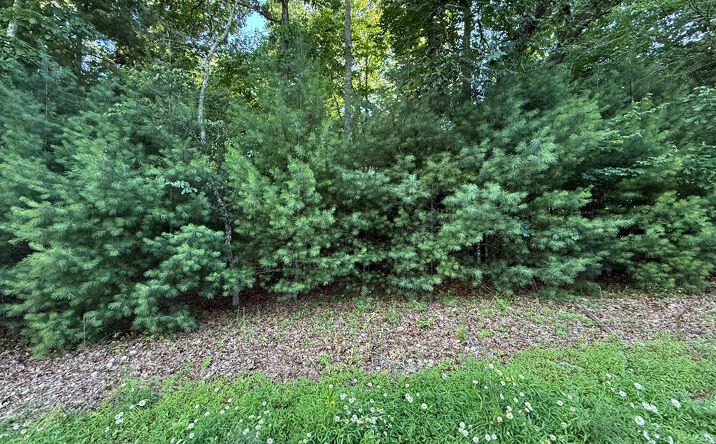 LOT 65 Lennox Point, Blairsville
