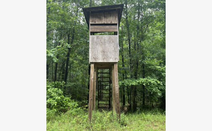 Lowenkamp Lane, Hazlehurst