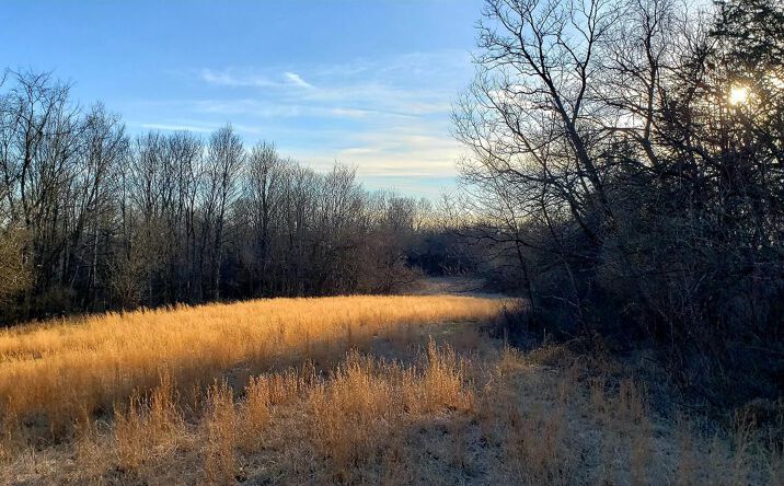 68.79ac Barger Road, Washington Twp