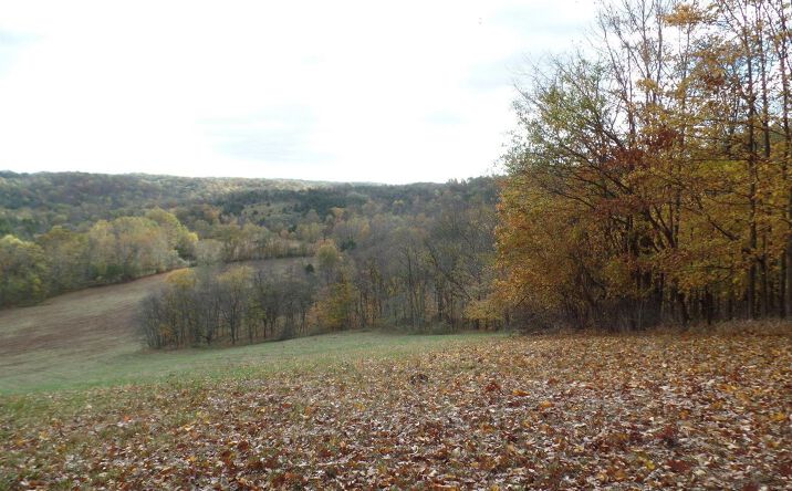 15.000ac Moorman Road, Batesville