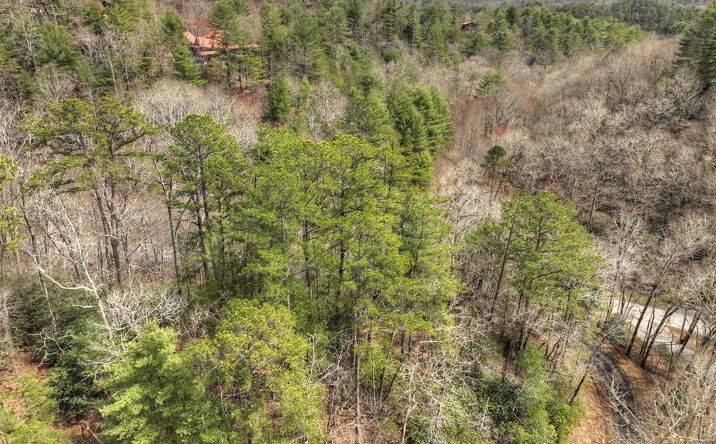 308 Lakota Trail, Blue Ridge