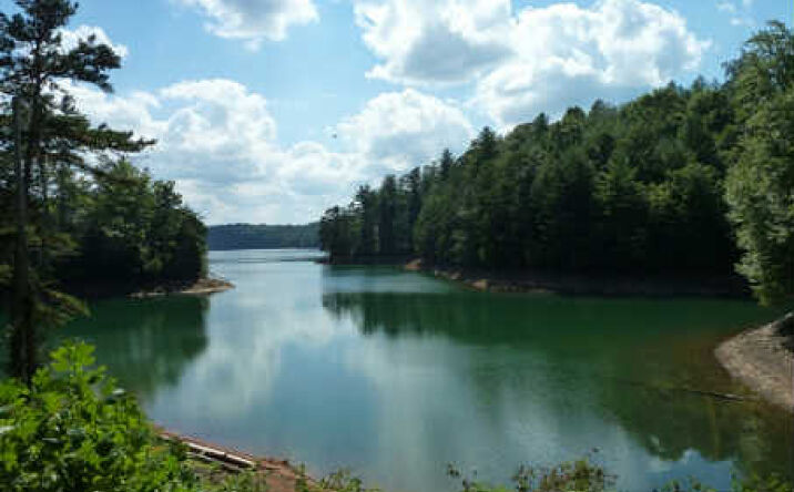 9010 Joe Brown Hwy, Murphy