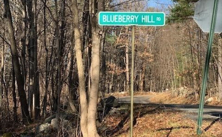 Blueberry Hill Road, Chatham