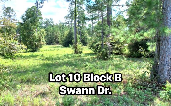 TBD Swann Dr. Lot 10 Block B, Cordele