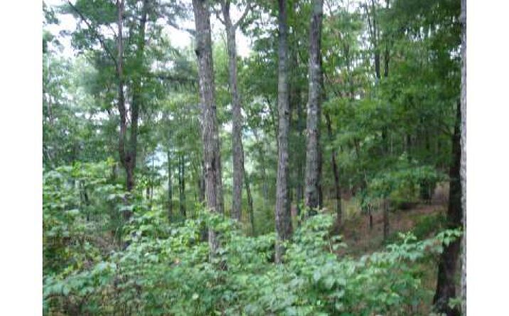 #11-A Prospectors Cove Road, Blairsville