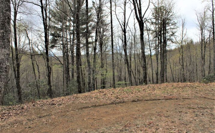 31 Shelton Springs Drive, Hayesville
