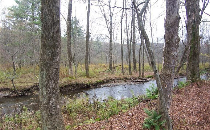 NYS Route 22, Hillsdale