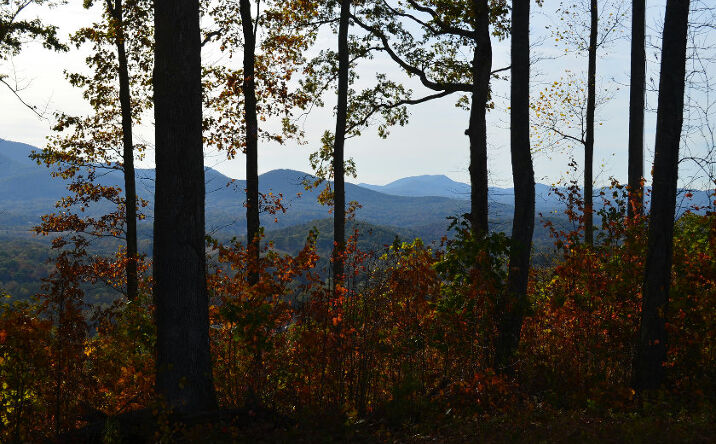 Harris Ridge-2.79ac, Young Harris