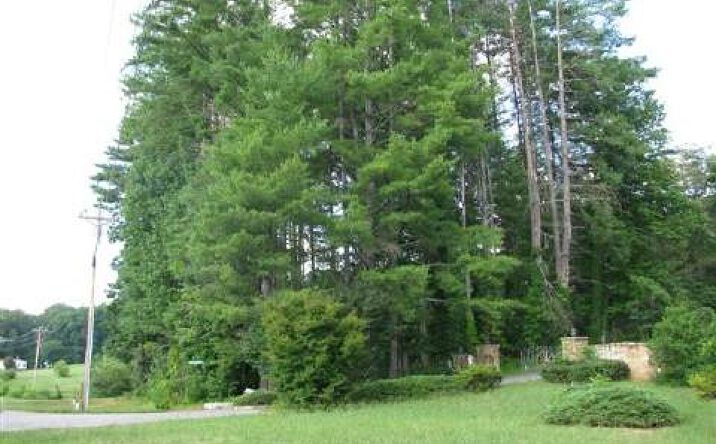 TR. 1 Hwy 75n, Hiawassee