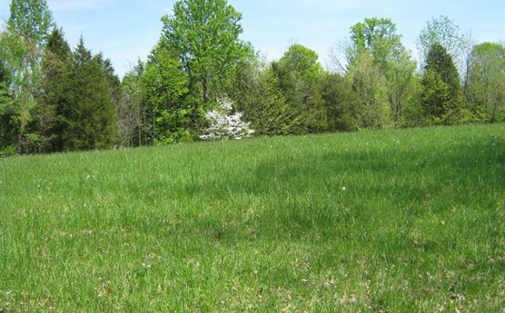 Cutter Road, Dillsboro