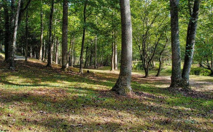 LT 34 Mountain Camp Road, Ellijay