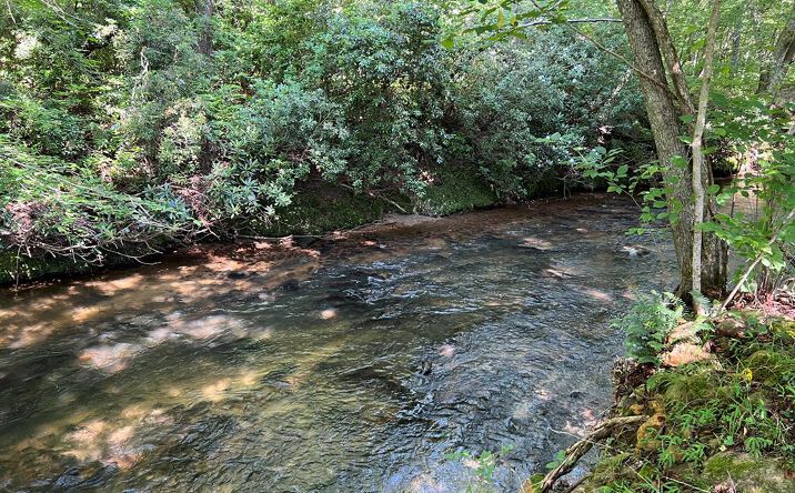 Lot 8 Old Birch Bend, Blairsville