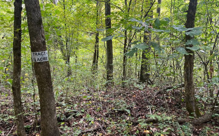 001 Forest Service Road 116, Combs