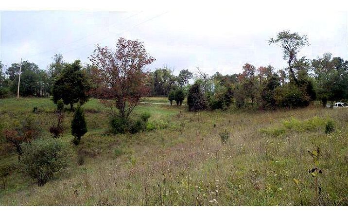 54.7ac Meades Ridge Road, Patriot