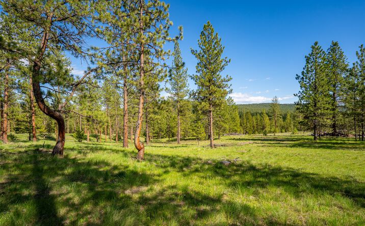 3655 Hubbart Dam Road, Marion