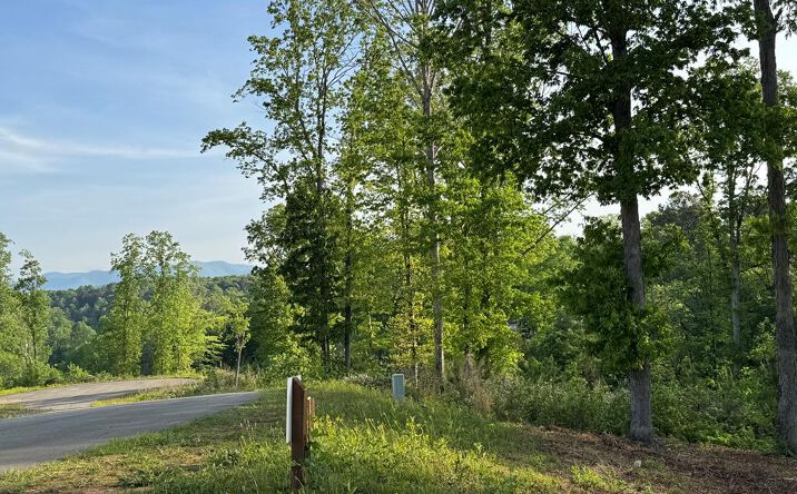 Lot 8 Mystic Drive, Ellijay