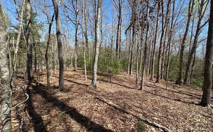 Lot 13 Spring Hills Lane, Blairsville