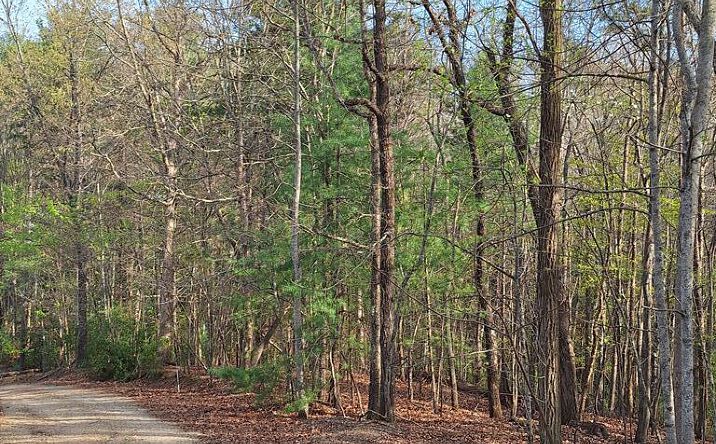 LOT 22 Mull Lane Cir, Morganton