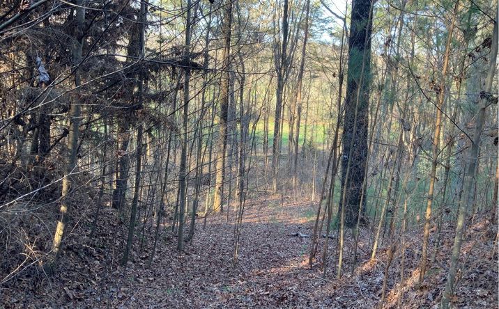 109 Pleasant Oak Trail, Ellijay
