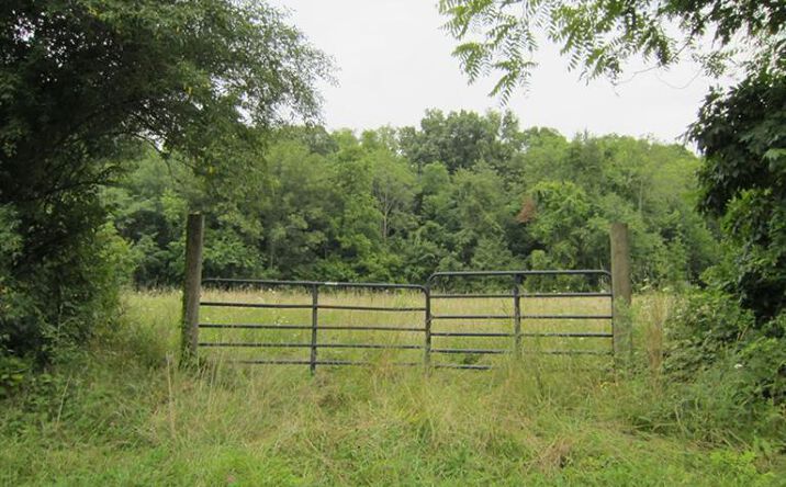 Adams Road, Hillsboro