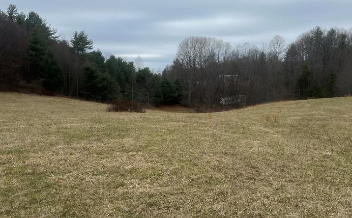 299 Red Ford Rd, Meadows of Dan