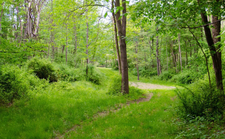 Doodletown Road, Ancram