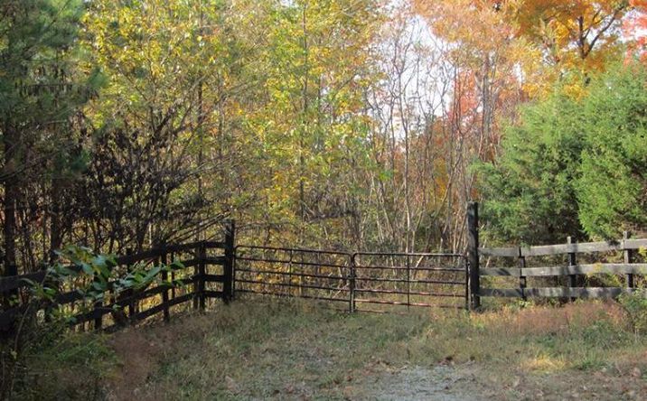 Wisecup Hill Road, Buckskin Twp