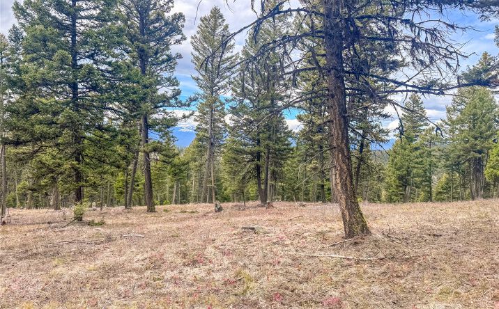 NHN Old Oregon Trail - 80 acres, Clinton