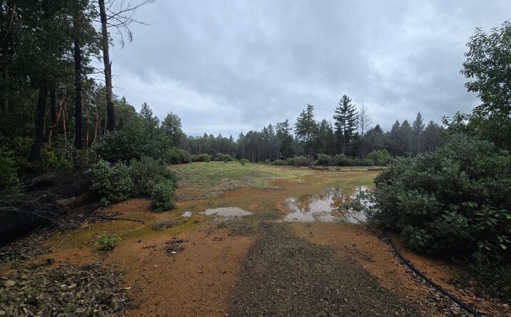 0000 Madrone Road, Alderpoint