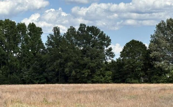 Tbd Liberty Hill Road, Summerton