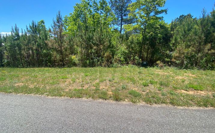 Lot 55 Village Loop, Blairsville