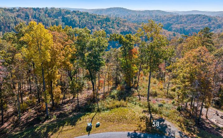 Lot 58 Ridge Line Trail, Ellijay