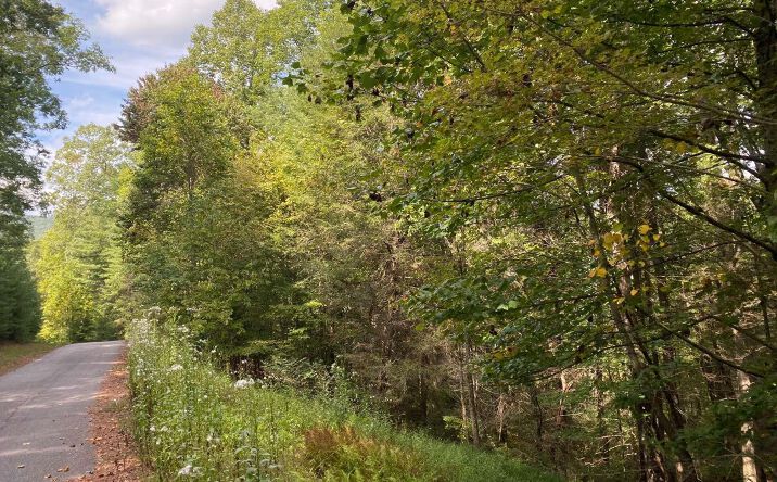 Lot 58 Gobblers Knob, Suches