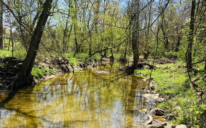 Lucas Rd, Blooming Grove Twp