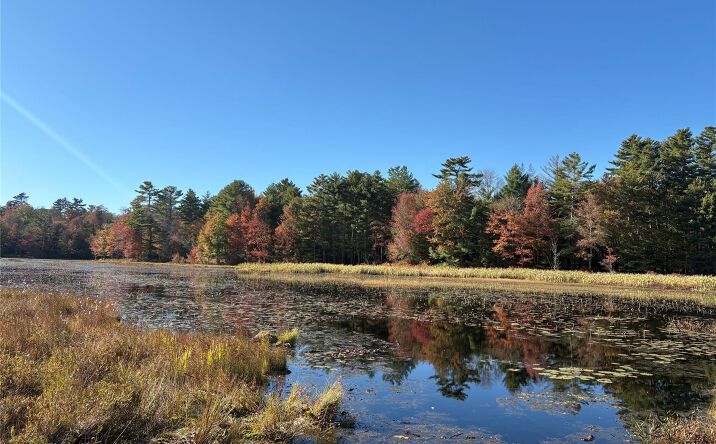 Lot 4 Deer Meadow Road, Bethel