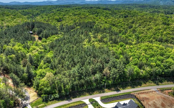 Lot 3 Grassy Creek Road, Copperhill