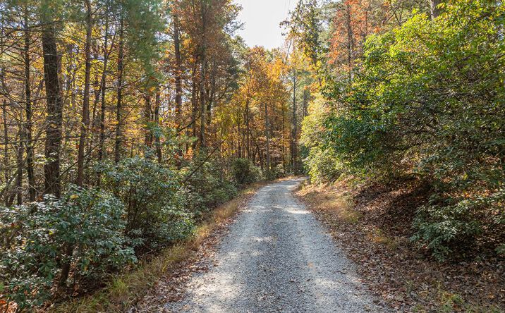 51.96 AC Laughing Bird Lane, Ellijay