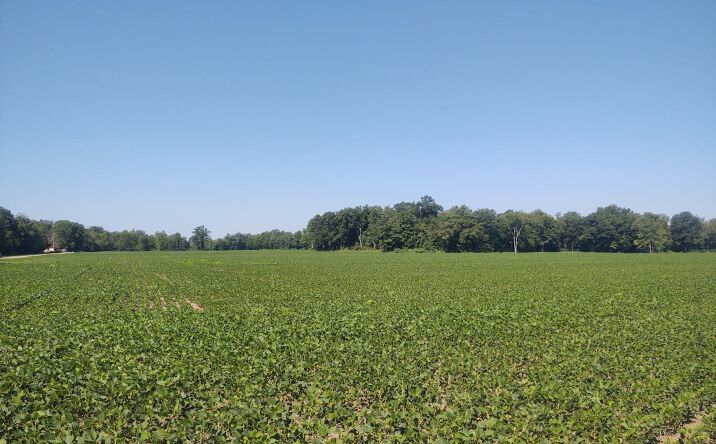 Macedonia Road, Washington Twp