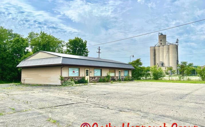283 S Steele Street, Ionia