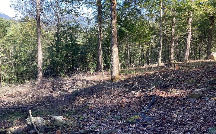 Lot 2 Buckhead Hills, Hiawassee