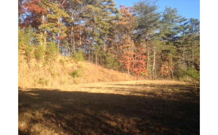 1376 Canyon Road, Murphy