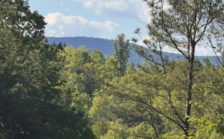 Lot 2 Grassy Creek Road, Copperhill