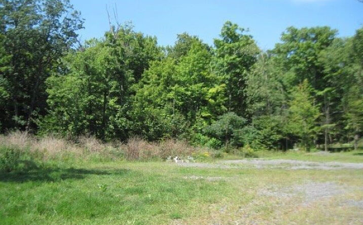 6635 RT 81, Durham