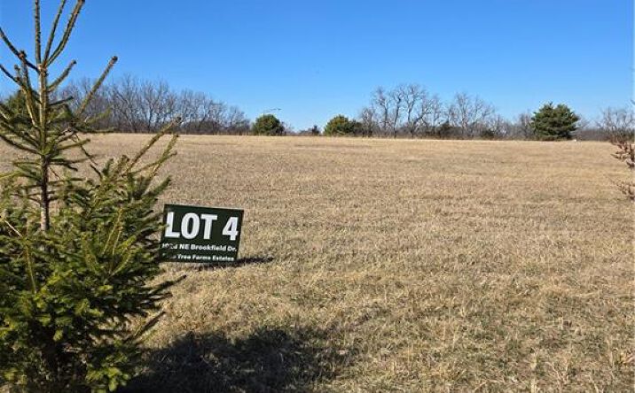 1028 Brookfield Drive, Lee's Summit